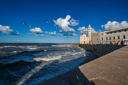 Photo by: Joshua  Raif