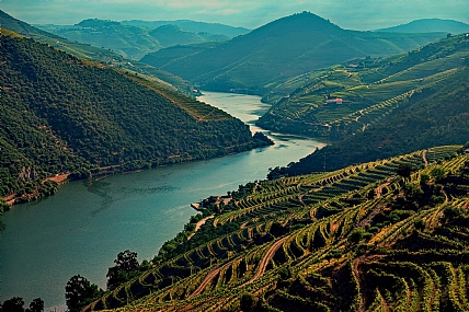 Photo by: menachem  lazar