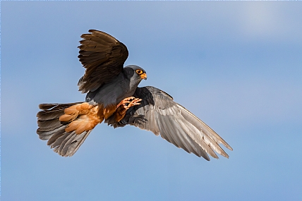 Photo by: yariv alaluf