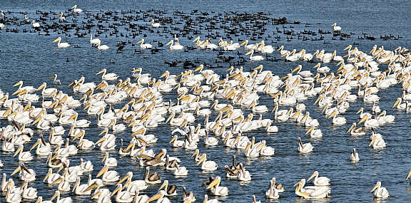 Photo by: amihai dekel