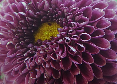 Photo by: yoel vislov