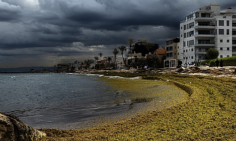 Photo by: Robert Elstein