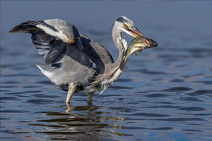 Photo by: yariv alaluf