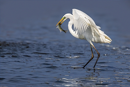 Photo by: yariv alaluf