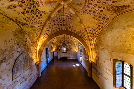 Photo by: Hezi Goldenberg