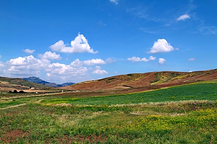 Photo by: menachem  lazar