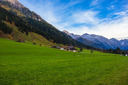 Photo by: chaiim feynhendler