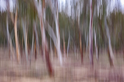 Photo by: Joshua  Raif