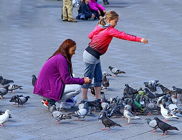 Photo by: menachem  lazar