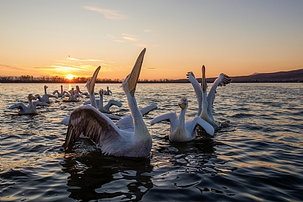 Photo by: yariv alaluf