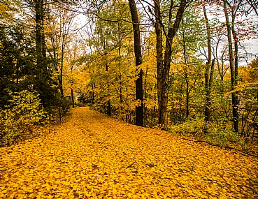 Photo by: MOSHE SCHREIBER