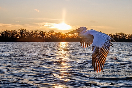 Photo by: yariv alaluf