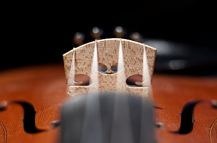 Photo by: chaiim feynhendler