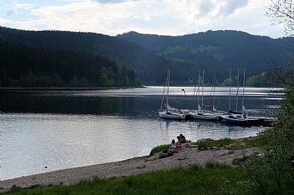 Photo by: menachem  lazar