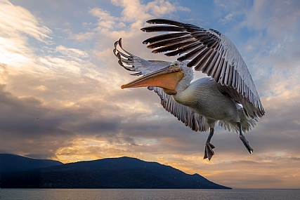 Photo by: yariv alaluf