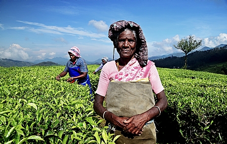 Photo by: DAVID IDAN