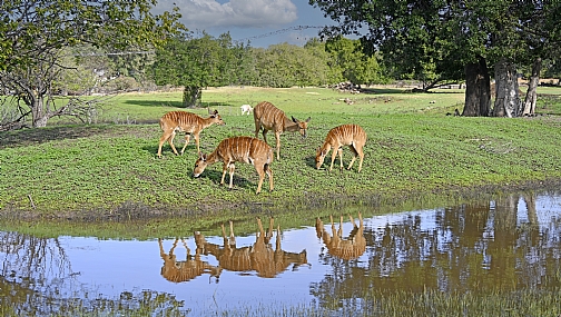 Photo by: Yoram Segol