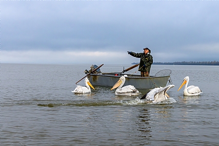 Photo by: yariv alaluf