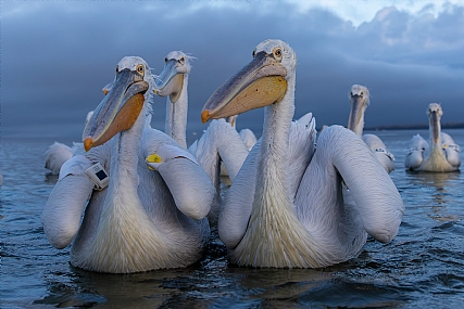 Photo by: yariv alaluf