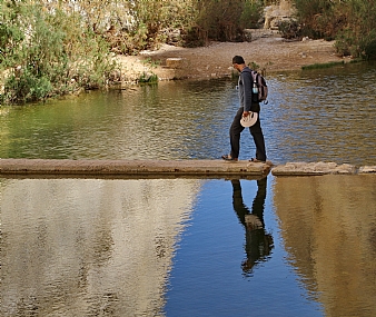 Photo by: menachem  lazar