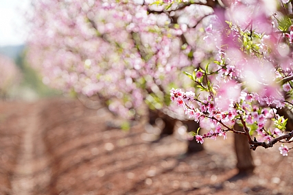 Photo by: Orit Gafni