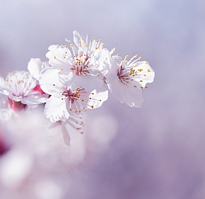 Photo by: Orit Gafni