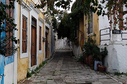 Photo by: menachem  lazar