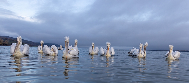 Photo by: yariv alaluf