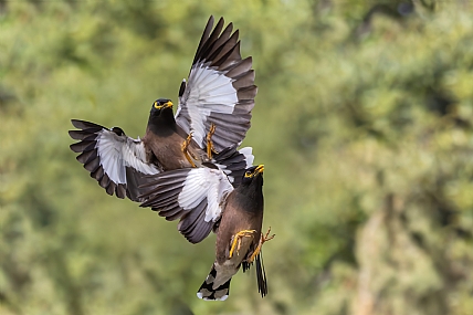 Photo by: yariv alaluf