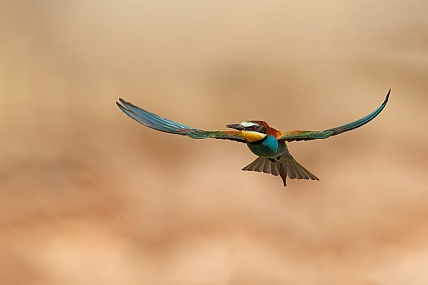 Photo by: yariv alaluf