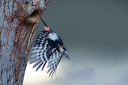 Photo by: yariv alaluf