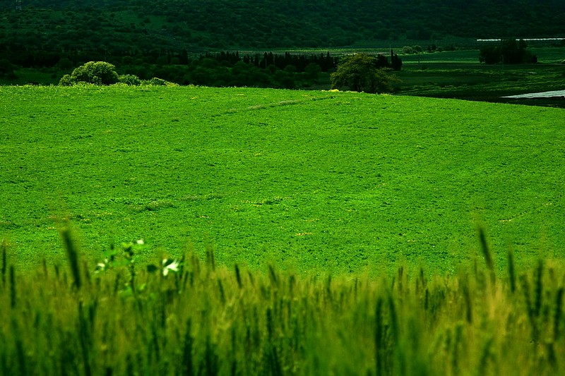 Photo by:  