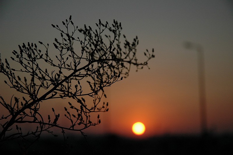 Photo by:  