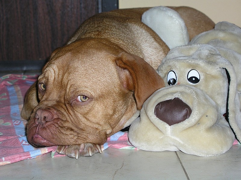 Photo by: 