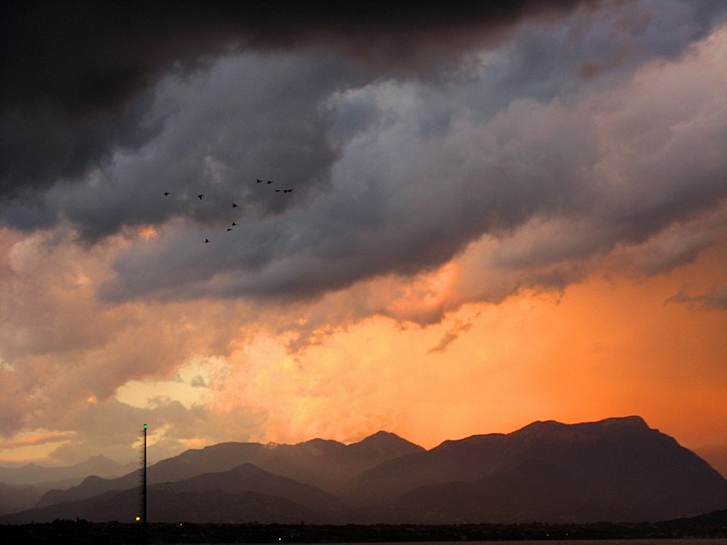 Photo by:  