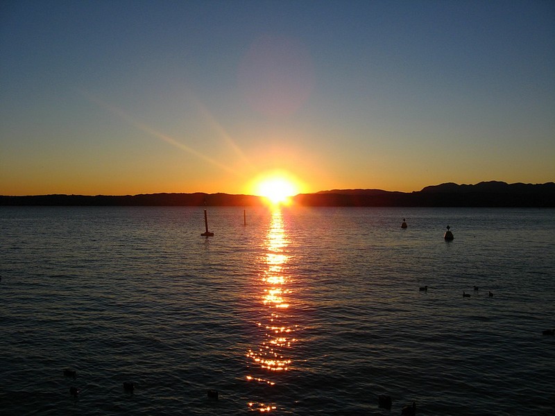 Photo by:  