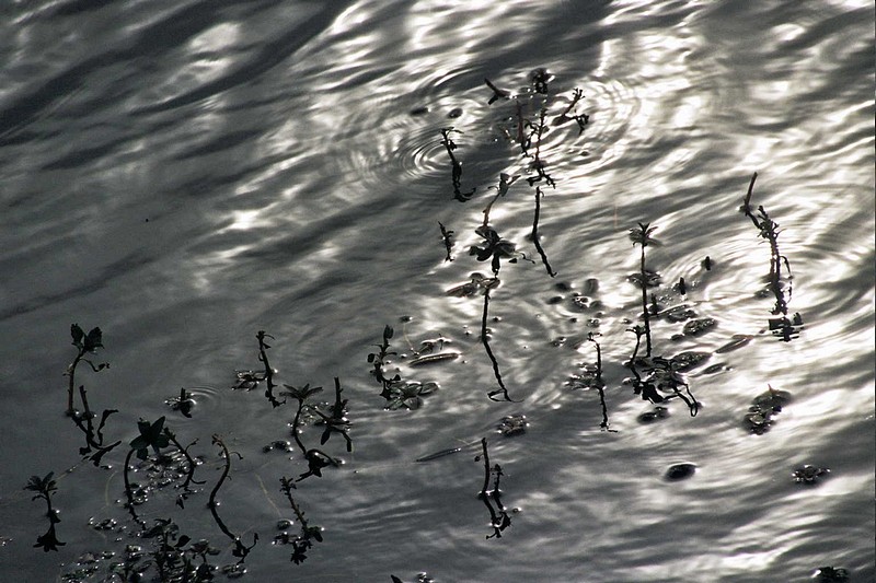 Photo by:  