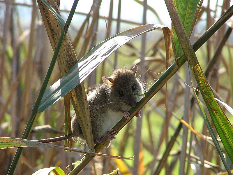 Photo by:  