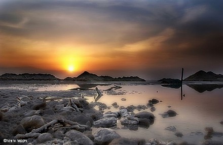 Photo by:  