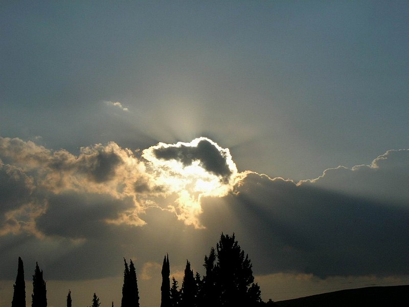 Photo by:  