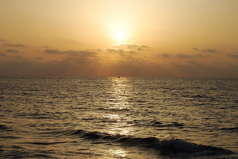 Photo by:  