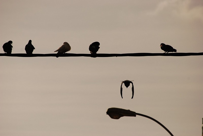 Photo by:  