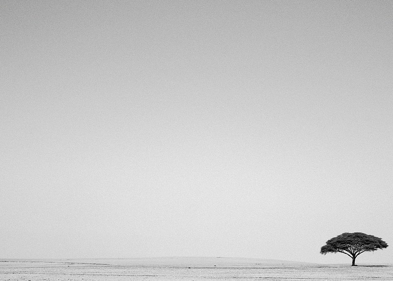 Photo by:  