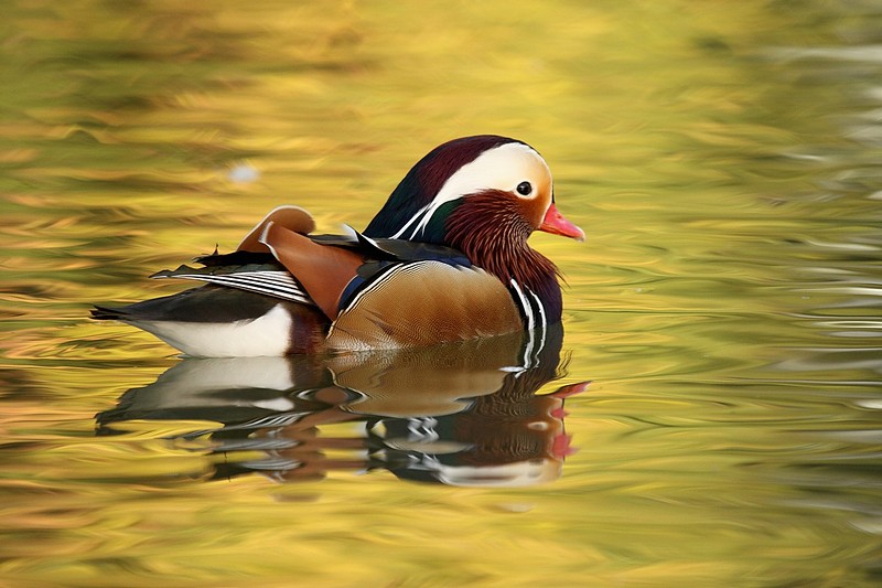 Photo by:  