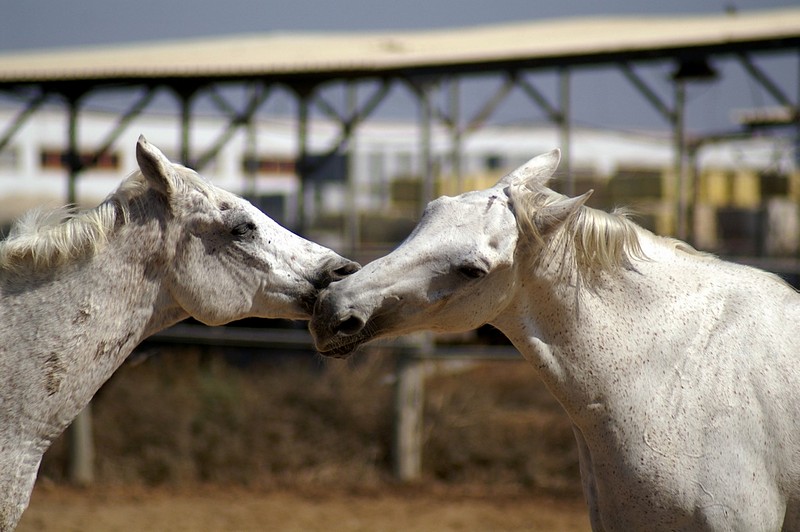 Photo by: doron sberlo 