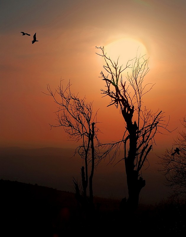 Israel Nature Israel views Sky Sunsets Central Israel