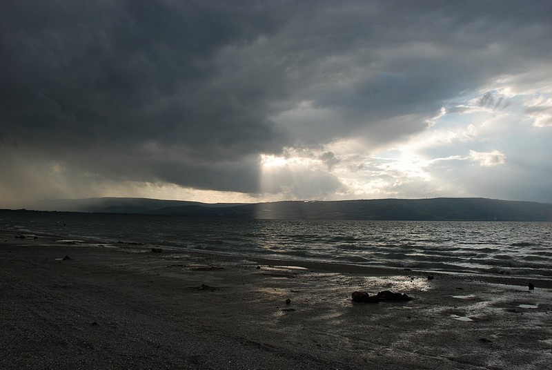 Photo by:  