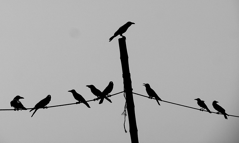 Photo by: rachmani rachman