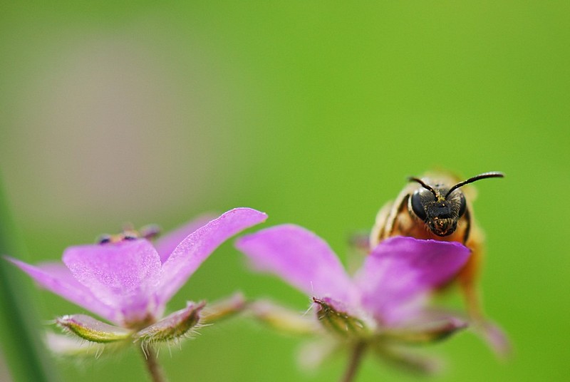 Photo by:  