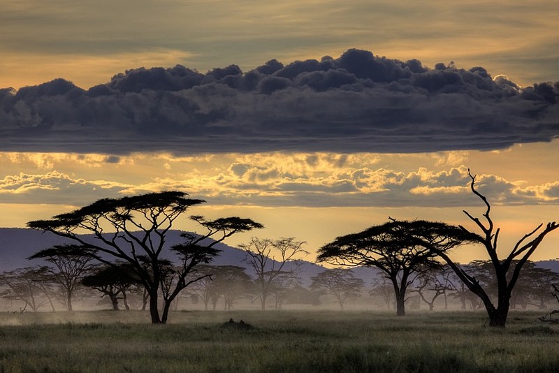World & Travel Nature landscape Africa Sunsets